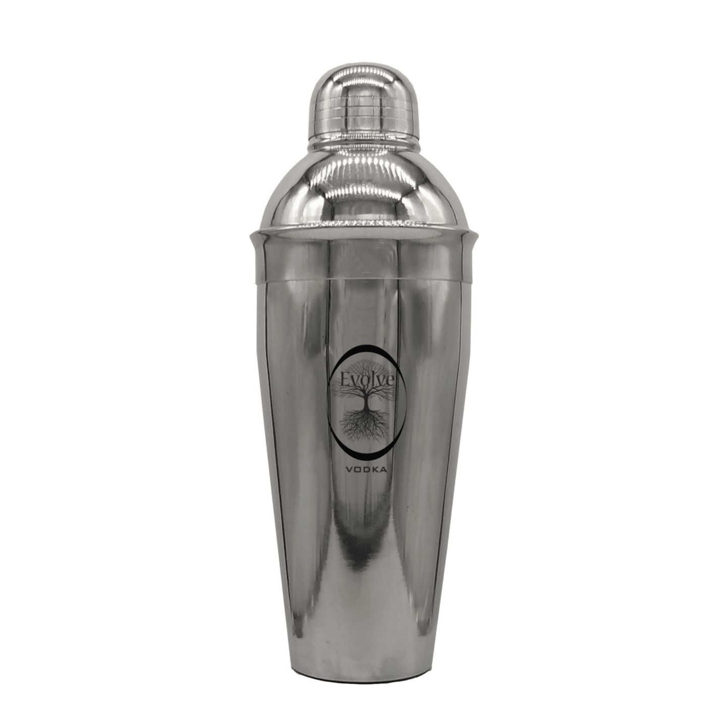 Stainless Steel Shaker Bottle